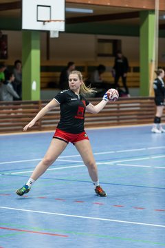 Bild 114 - Frauen HSG Krem/Muensterdorf - HG OKT 3 : Ergebnis: 33:21